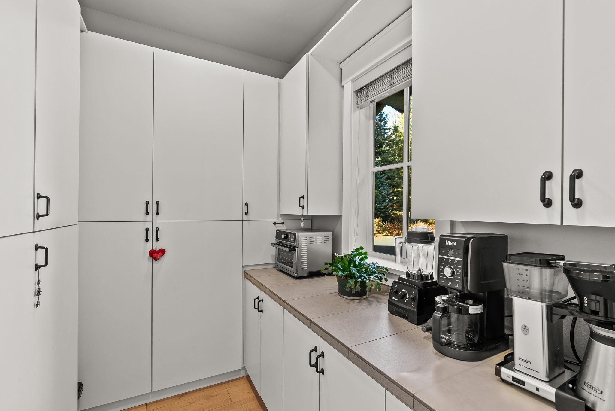 Coyote Springs - Residential