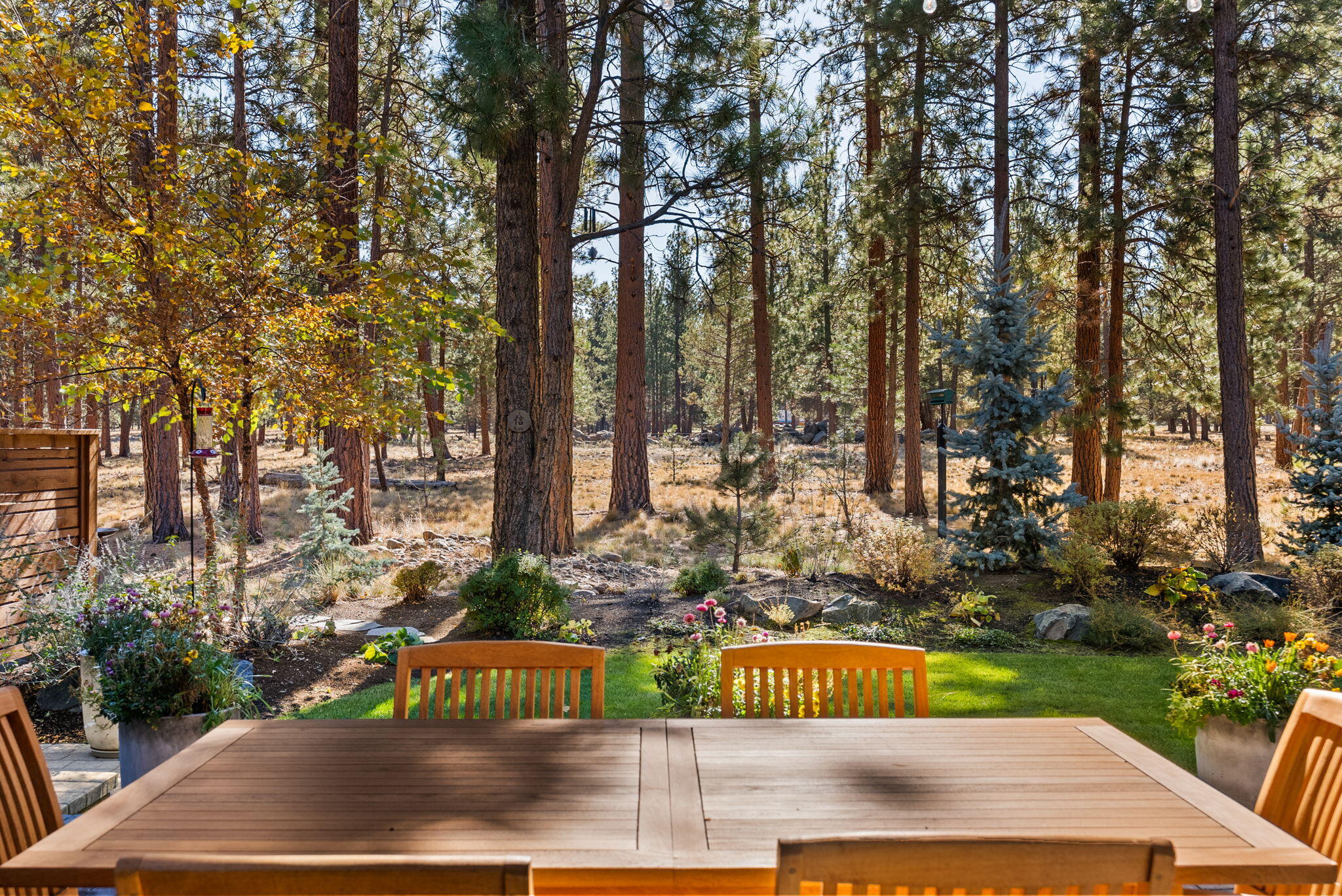 Coyote Springs - Residential