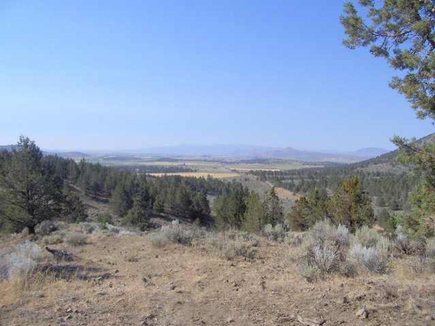 Beautiful Views Of Valley & Mountians From Leveled Homesite, Road In & Power To Property Line. Privacy,Very Qiuet, Abundant Wildlife, Seasonal Stream & Reservoir. Close To Small Town Of Merrill.