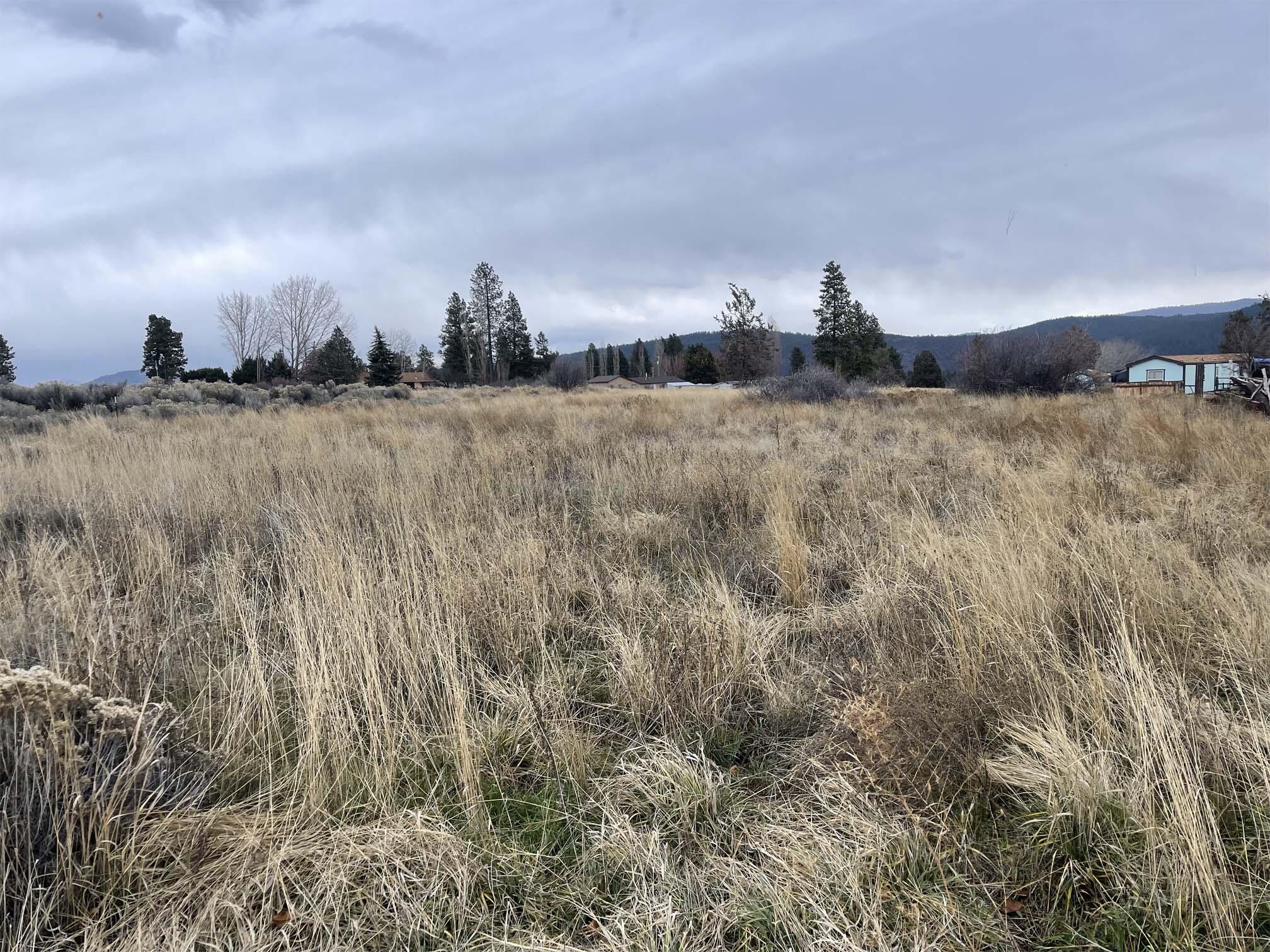 Oregon Shores - Land