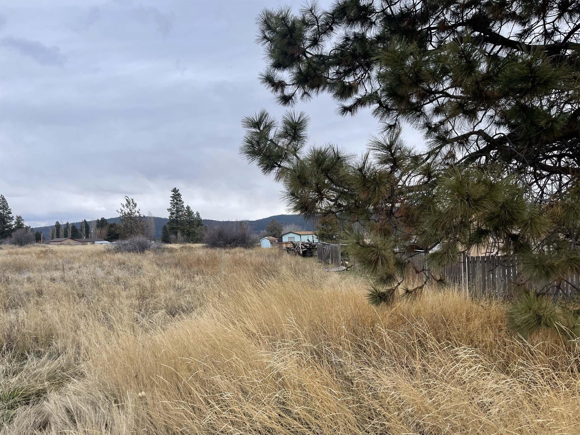 Oregon Shores - Land