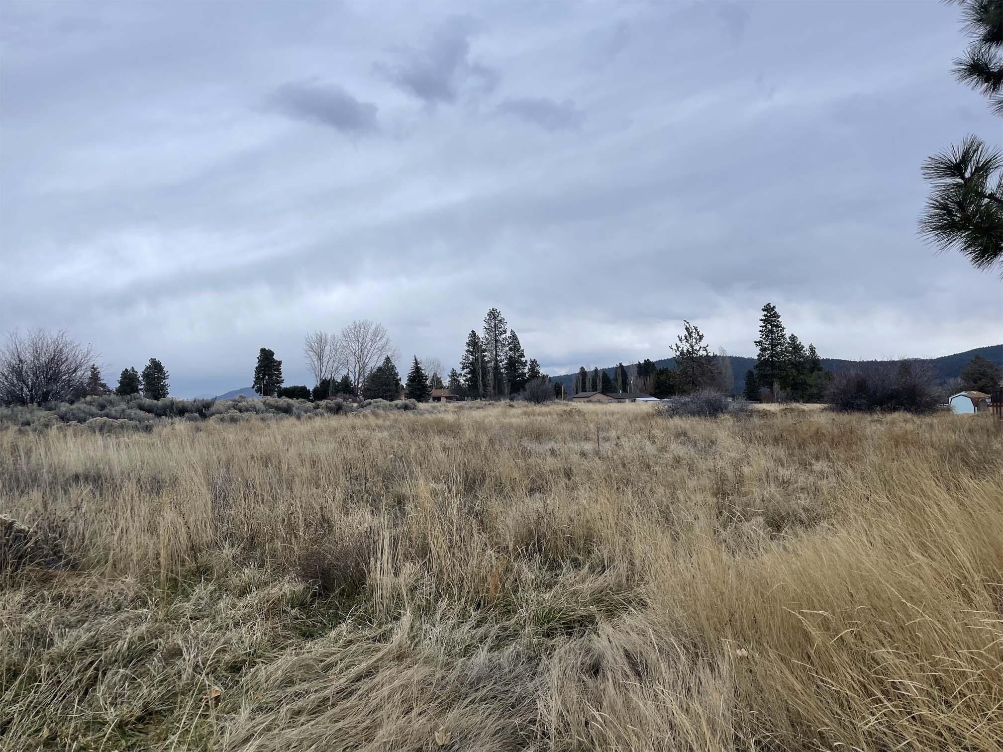 Oregon Shores - Land