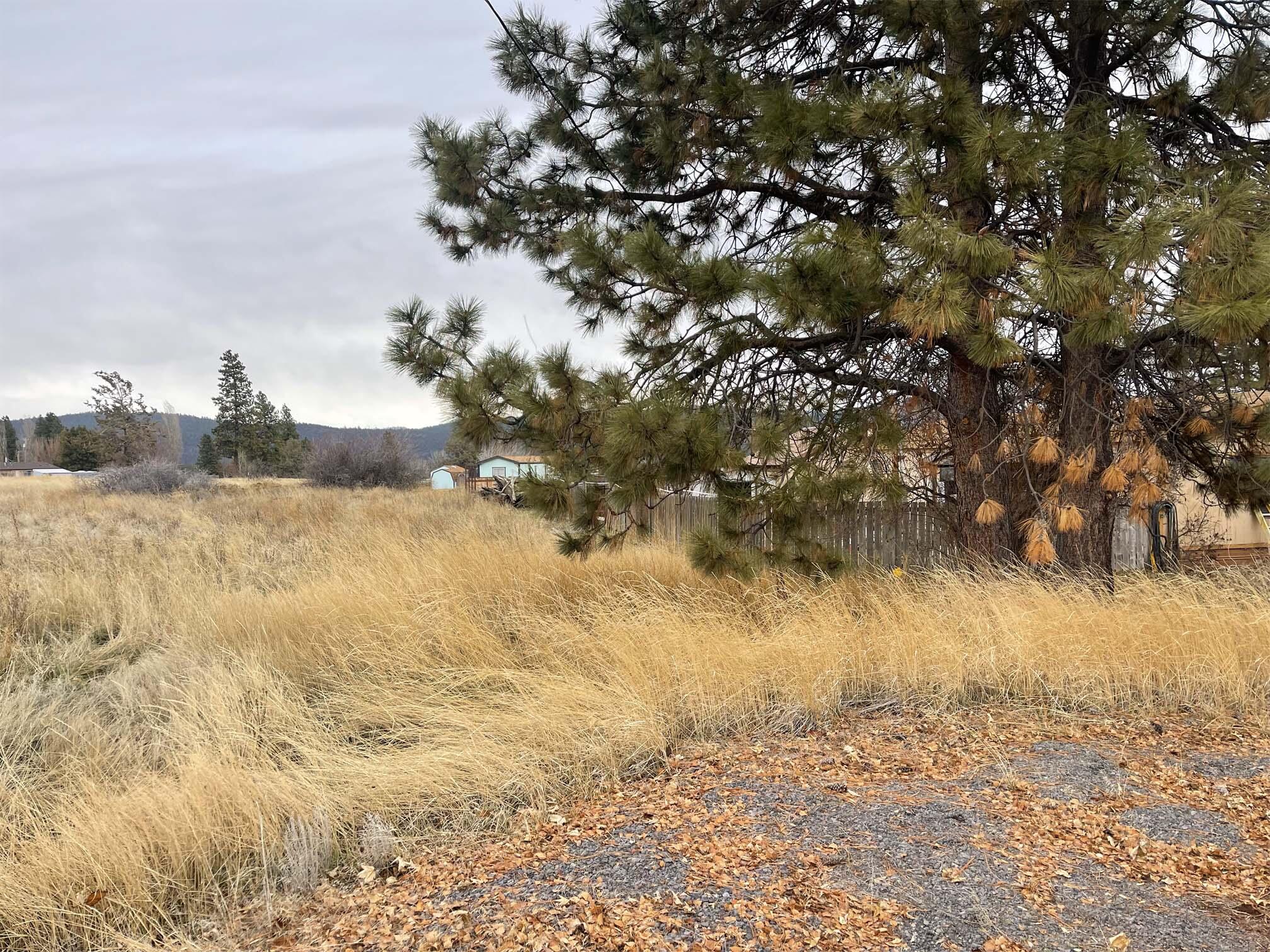 Oregon Shores - Land