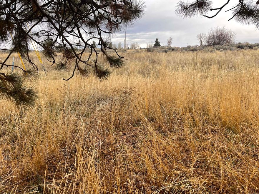 Great end of Cul-D-Sac parcel that has a passed percolation test for a standard leach field system. This is a recently completed and permitted percolation test. Power, phone and water are at the property edge. Large .43 Acre Parcel, plenty of elbow room here. This one is ready and the parcel is approved for a manufactured home or a stick framed home. This is in Oregon Shores, at Agency Lake, in a highly desirable area for homesites. In the court so no through traffic driving by, how nice is that?