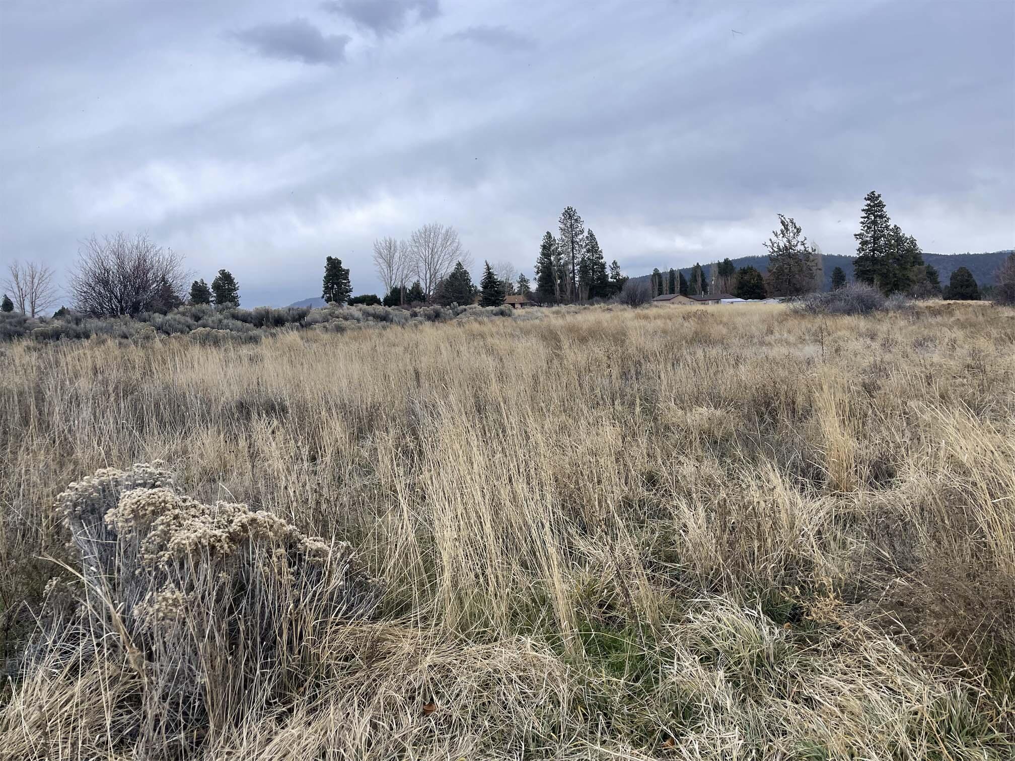 Oregon Shores - Land