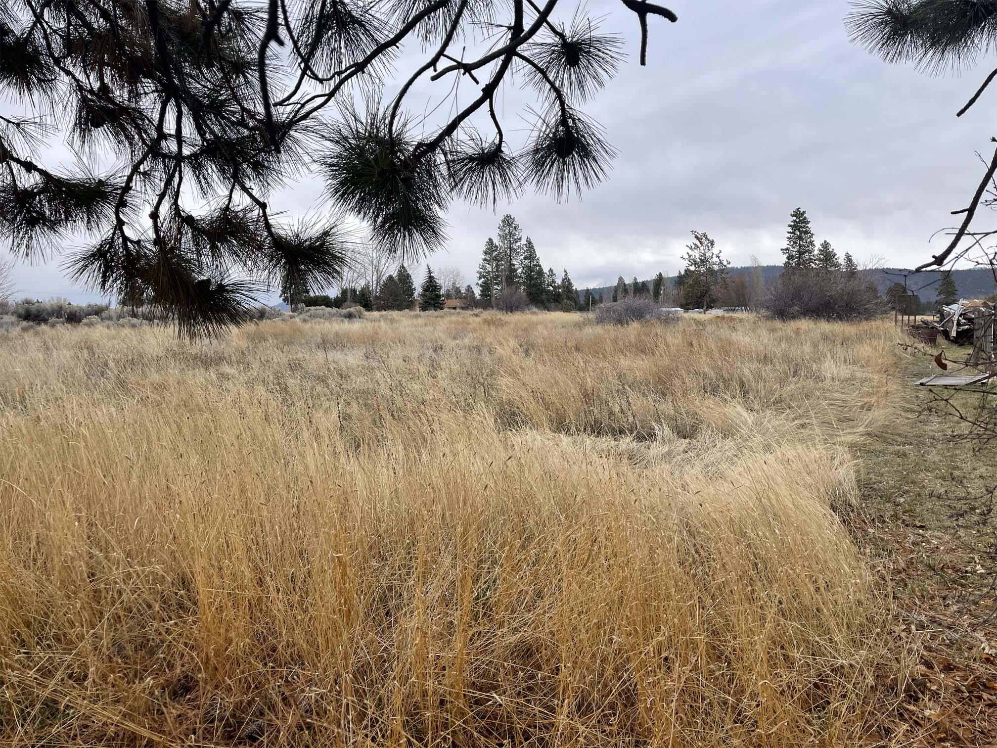 Oregon Shores - Land