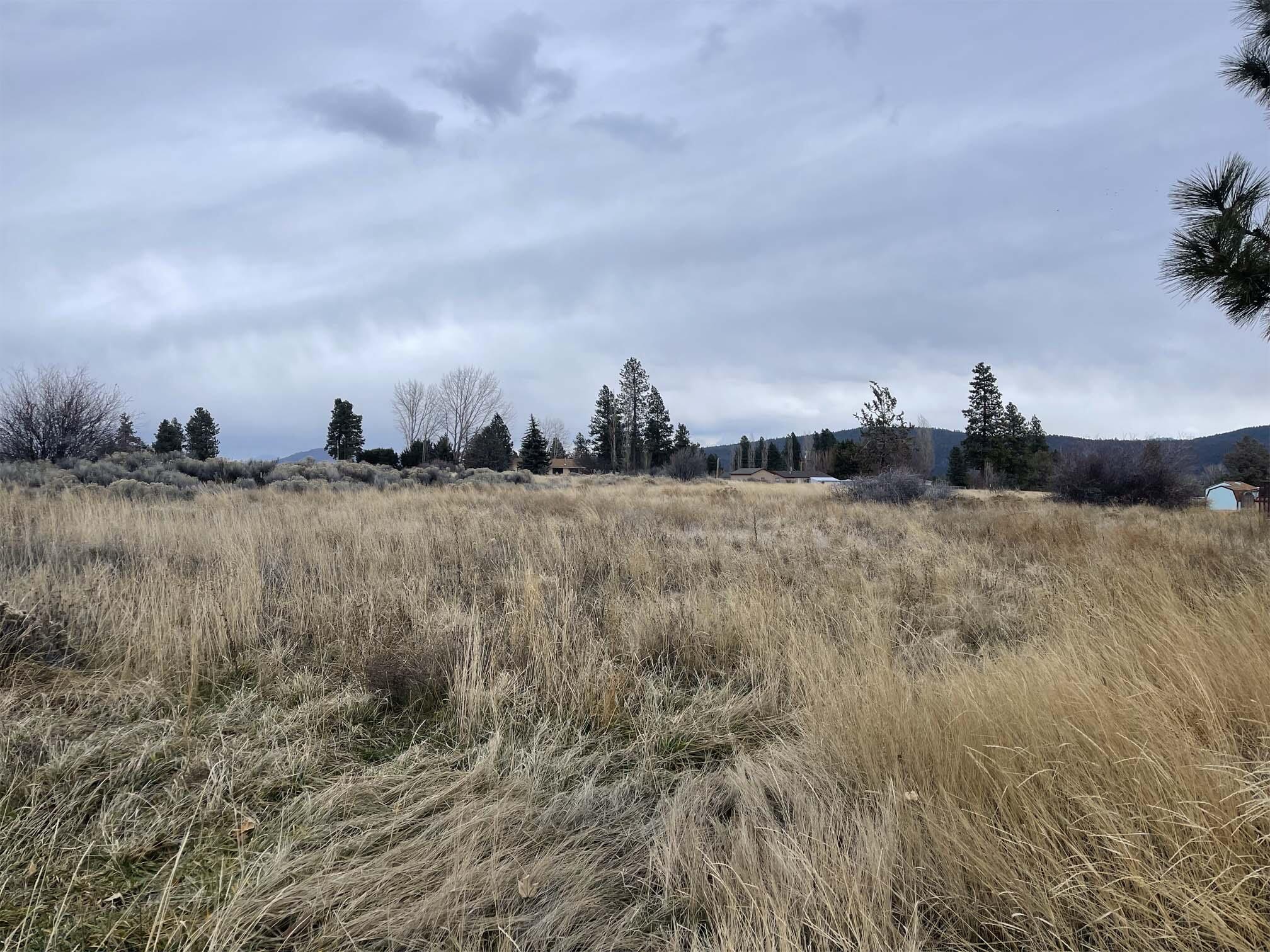 Oregon Shores - Land