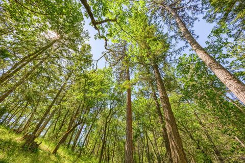 Tiny photo for 1988 Old Siskiyou Highway, Ashland, OR 97520 (MLS # 220211532)