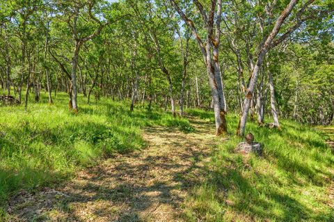 Tiny photo for 1988 Old Siskiyou Highway, Ashland, OR 97520 (MLS # 220211532)