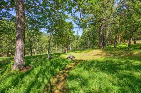 Tiny photo for 1988 Old Siskiyou Highway, Ashland, OR 97520 (MLS # 220211532)