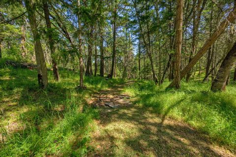 Tiny photo for 1988 Old Siskiyou Highway, Ashland, OR 97520 (MLS # 220211532)