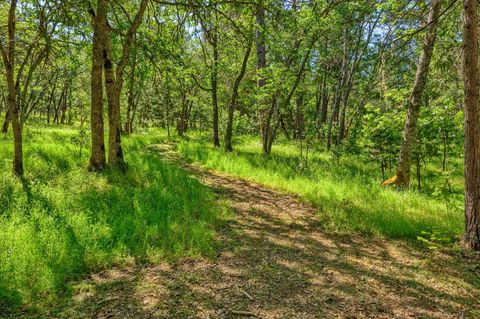 Tiny photo for 1988 Old Siskiyou Highway, Ashland, OR 97520 (MLS # 220211532)