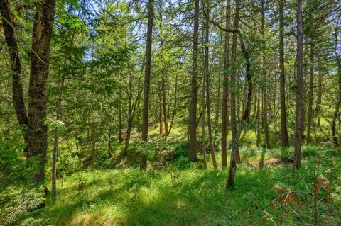 Tiny photo for 1988 Old Siskiyou Highway, Ashland, OR 97520 (MLS # 220211532)