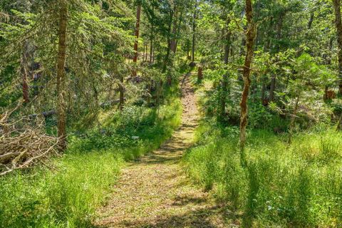 Tiny photo for 1988 Old Siskiyou Highway, Ashland, OR 97520 (MLS # 220211532)