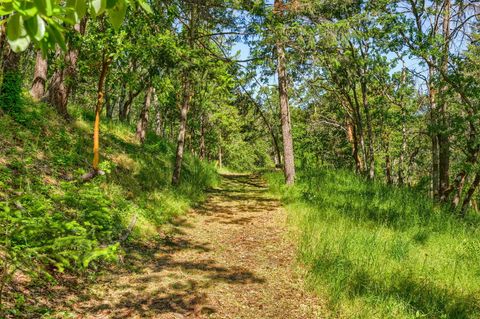 Tiny photo for 1988 Old Siskiyou Highway, Ashland, OR 97520 (MLS # 220211532)