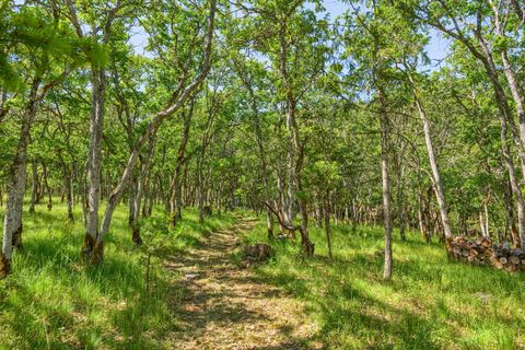 Tiny photo for 1988 Old Siskiyou Highway, Ashland, OR 97520 (MLS # 220211532)