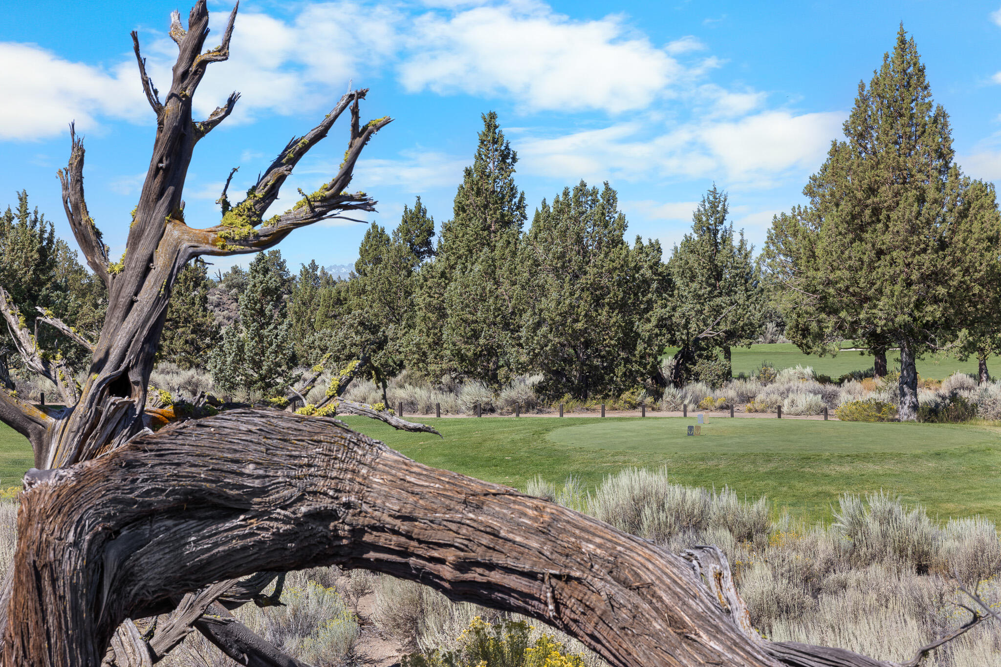 65765 Pronghorn Estates Drive #24