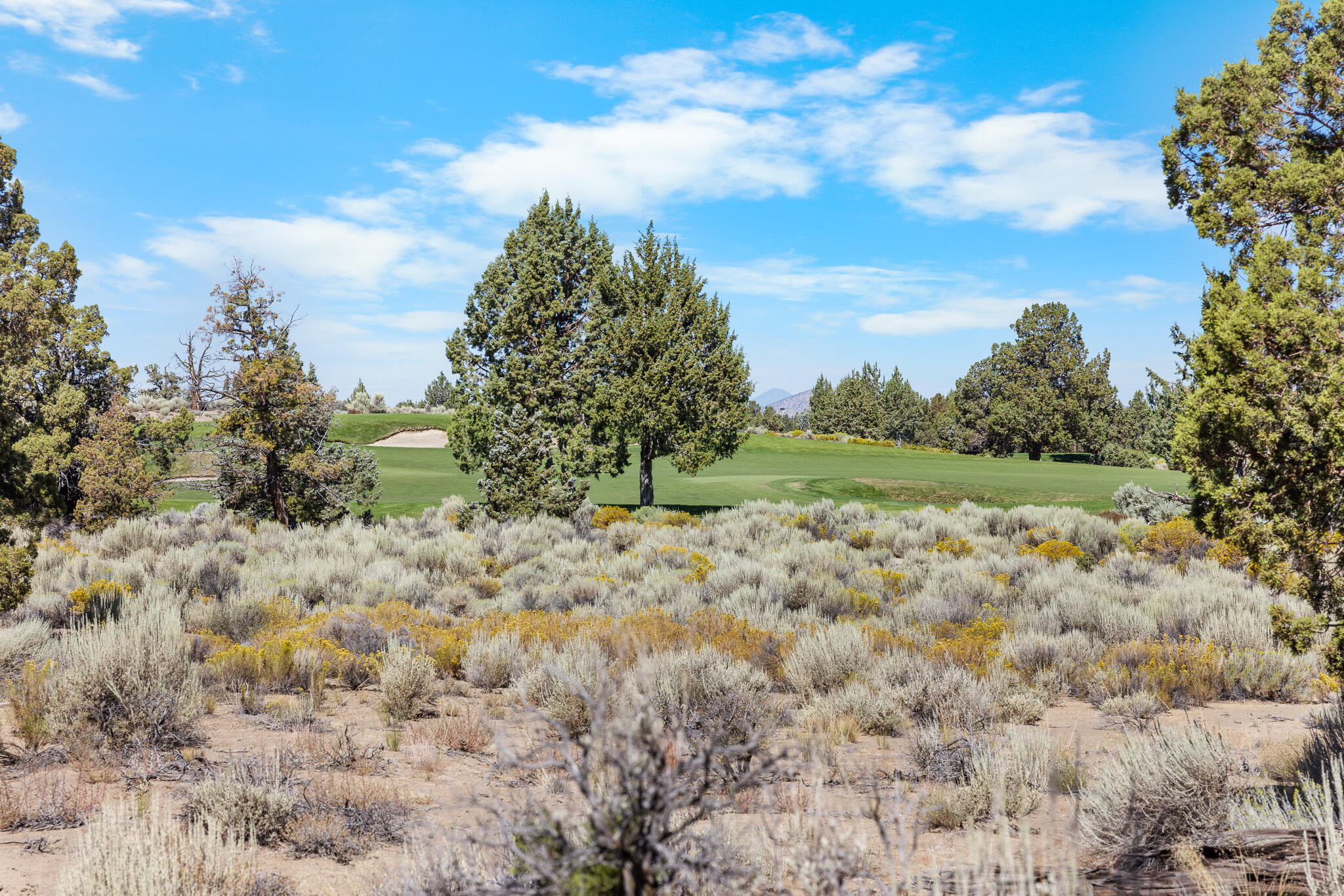 65765 Pronghorn Estates Drive #24