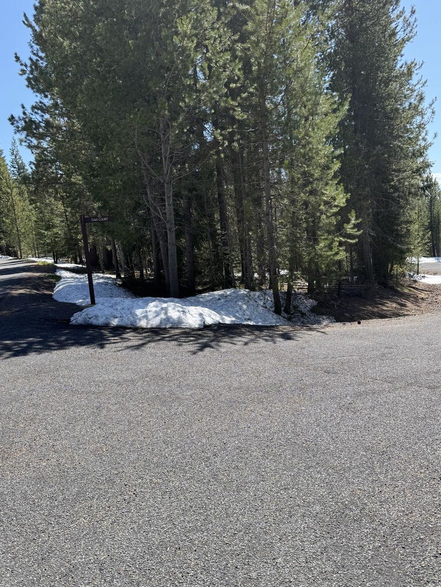 Here is your Chance to own a Premier Lot in Diamond Peaks Subdivision.  Maintained Roads, Paved and snow removal included, plus community water available. Just a few short minutes to Crescent and Odell Lakes, Willamette Pass Ski Resort, and numerous other mountain lakes and trails. Enjoy hiking, biking trail riding with ATVs and snowmobiles. Come and enjoy the Mountain Life.