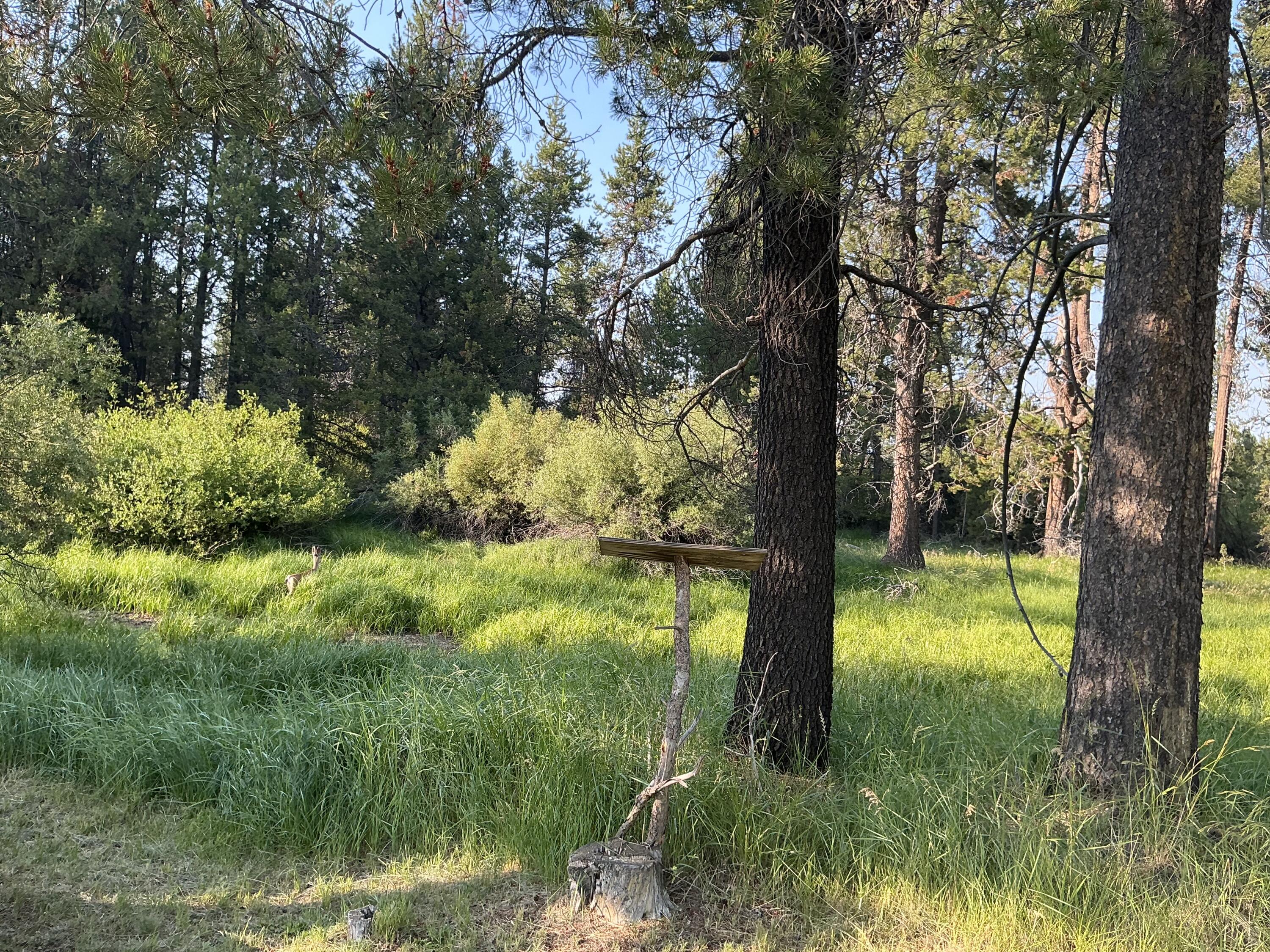 Lazy River West - Land