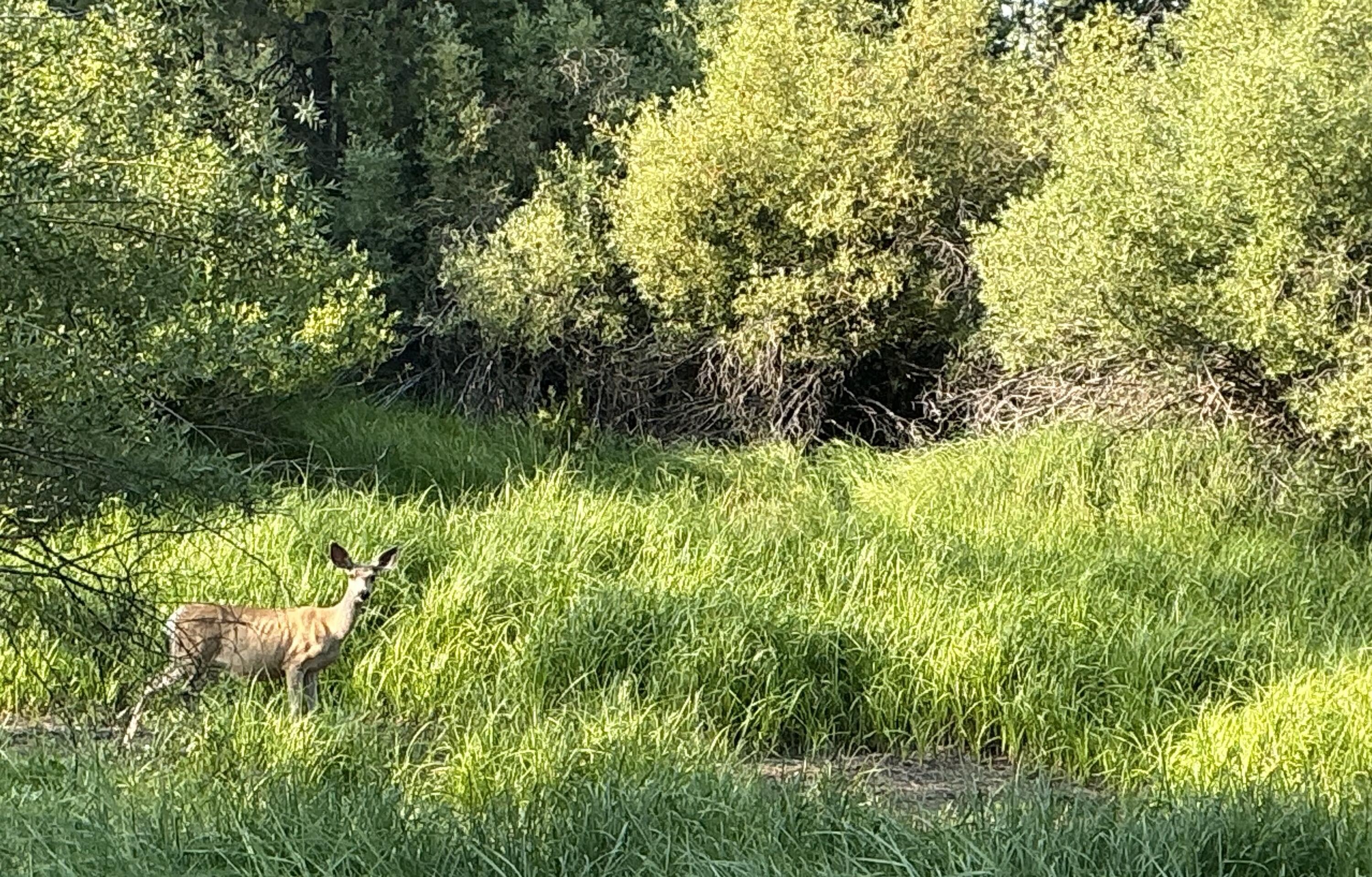 Lazy River West - Land