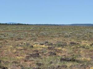Nimrod River Park - Land