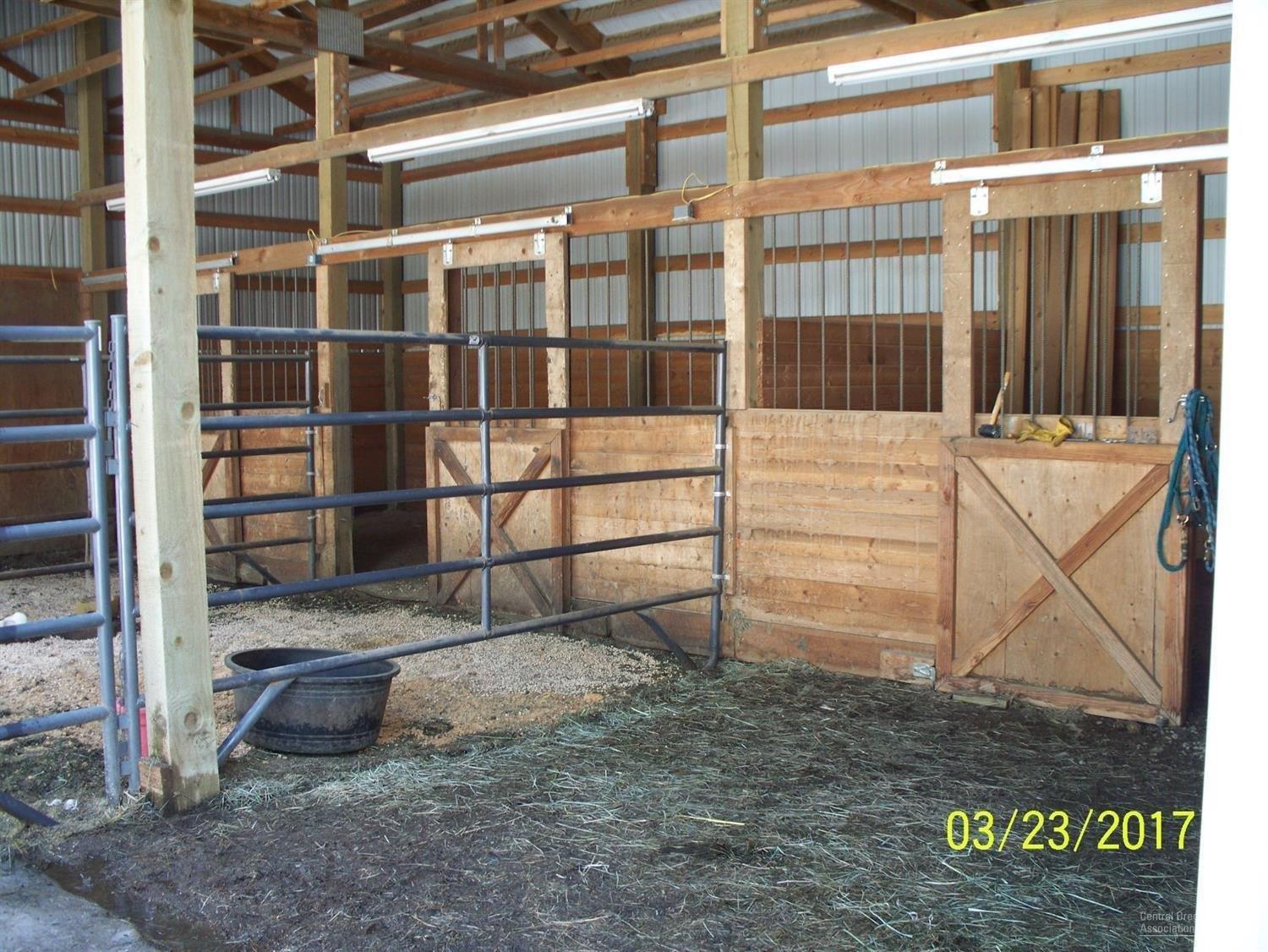 Ponderosa Pines - Residential