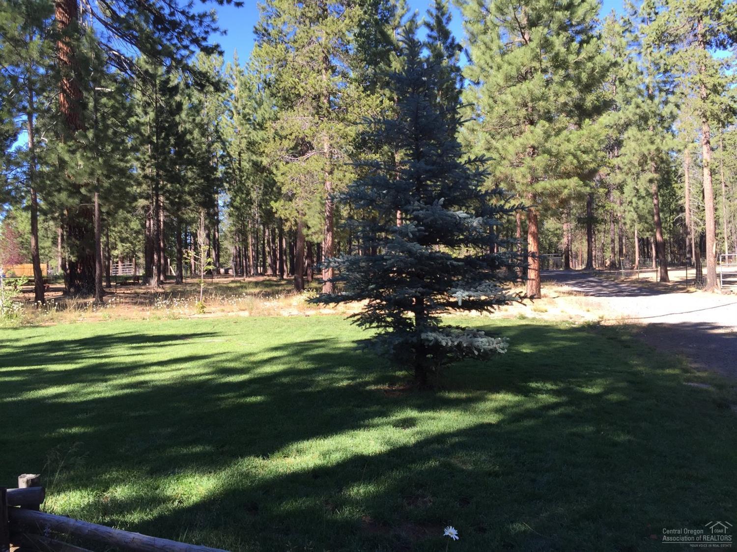 Ponderosa Pines - Residential