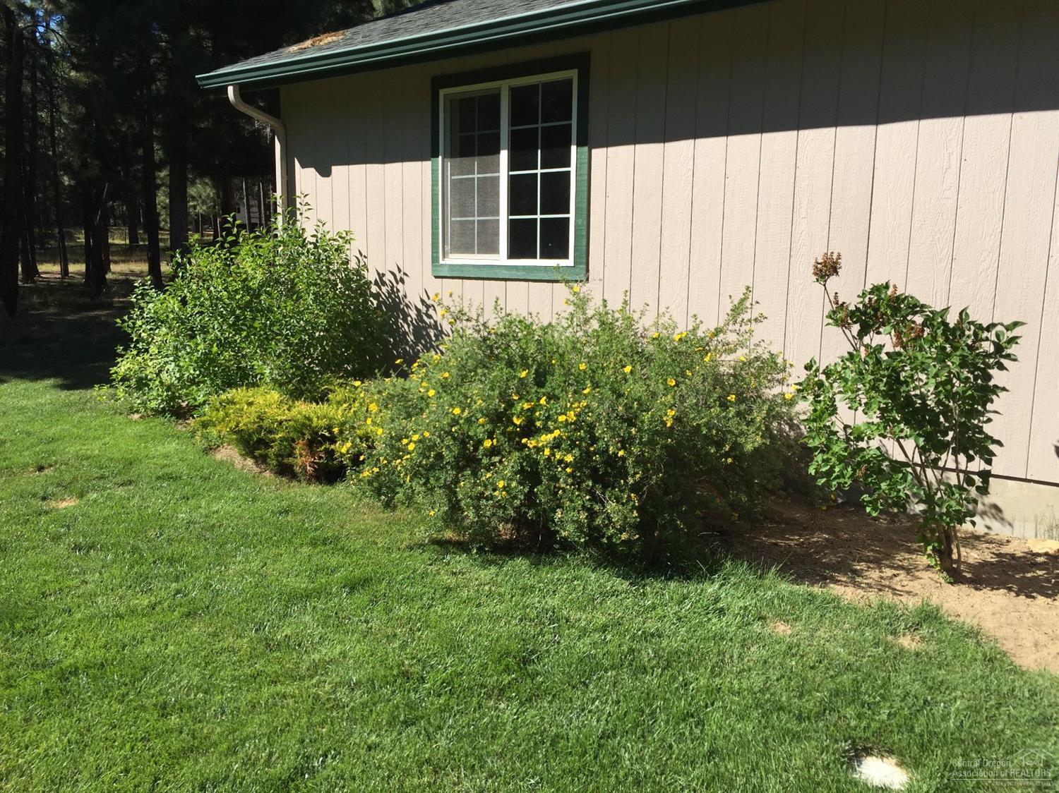 Ponderosa Pines - Residential