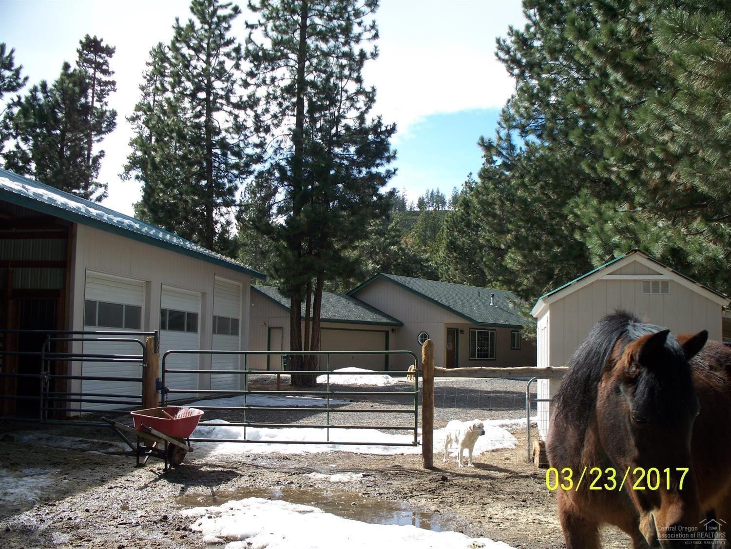 Ponderosa Pines - Residential