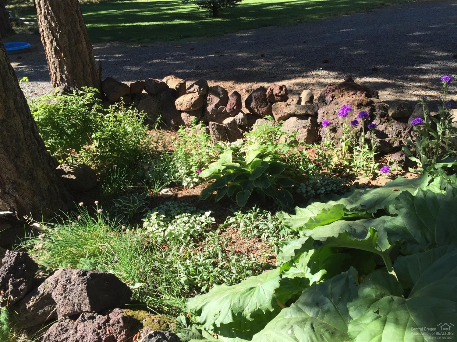 Ponderosa Pines - Residential