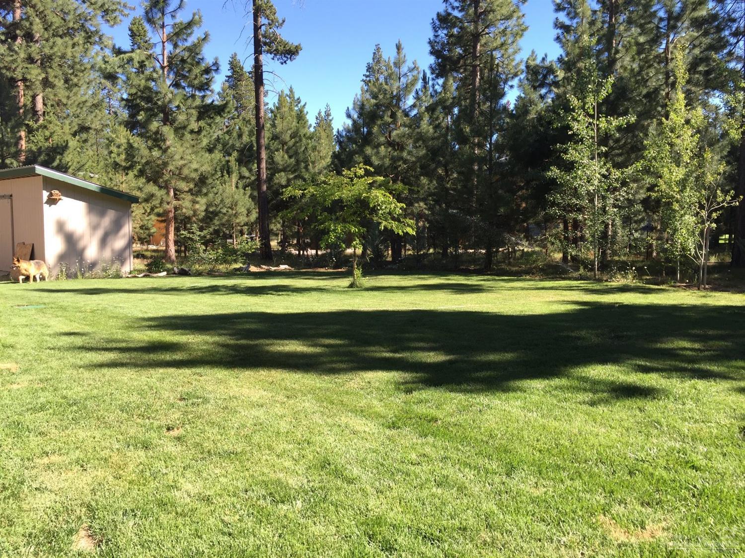 Ponderosa Pines - Residential