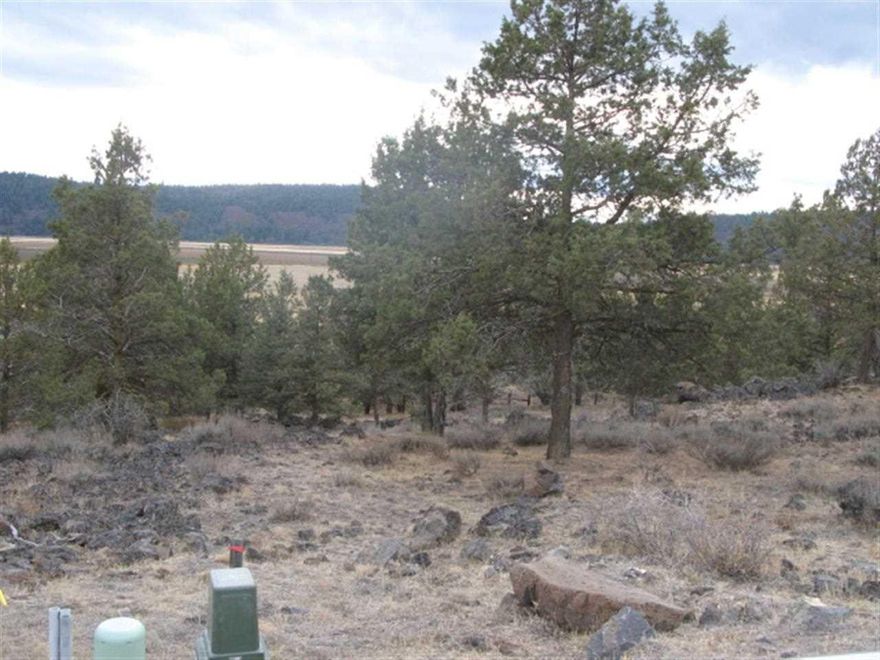 Nice Elevation With Ranch And Mountain Views. Large Pie Shaped Lot With 354 Ft. On The View Side-- Over One Acre. $95.85 Monthly Hoa Dues Include Membership In The Sports And Fitness Center.