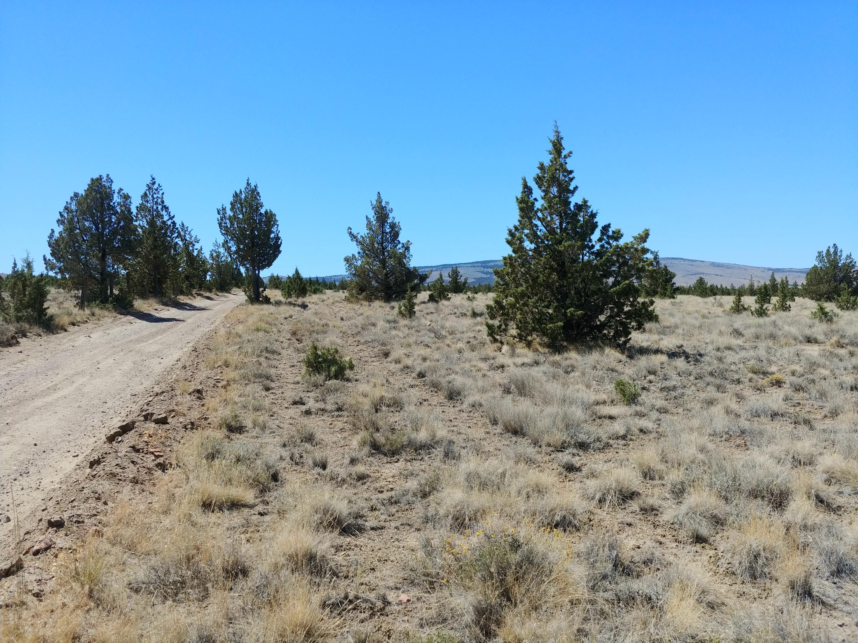 Juniper Acres - Land