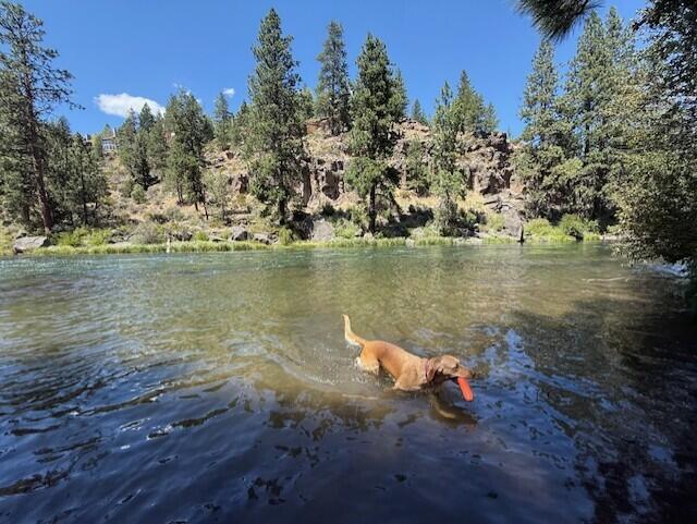 Elkhorn Estates - Residential