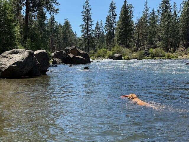 Elkhorn Estates - Residential