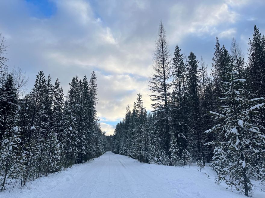 Hard to find.........AFFORDABLE timbered piece of property located a few miles outside Granite, OR with Olive creek running along the edge of it.  Property is adjacent to USFS.  Loaded with timber.  Western Larch (tamarack) and Lodgepole Pine are the predominant species.   Phone lines at the property, but no power.  Lots of wildlife present in the area and easy access to miles of USFS roads, ATV trails and snowmobile trails.  This property is located 6 miles from Granite and 23 miles from Sumpter.  Easy access with your RV for weekend camping trips.  The quaint mining town of Sumpter has a historic dredge, the Sumpter Valley Railroad and perhaps their most famous event......the flea market over Memorial Day, Fourth of July and Labor Day.  Phillips Reservoir, Anthony Lake and Olive Lake all close by for fishing and water recreation.  Motivated seller!