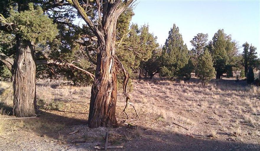 Rewarding lot located at the Ridge at Eagle Crest, backs up to BLM, Flat lot to build your wonderful home..Enjoy all the amenities The resort has to offer... Golfing, tennis, splash park, river trails, walking paths,So much more..