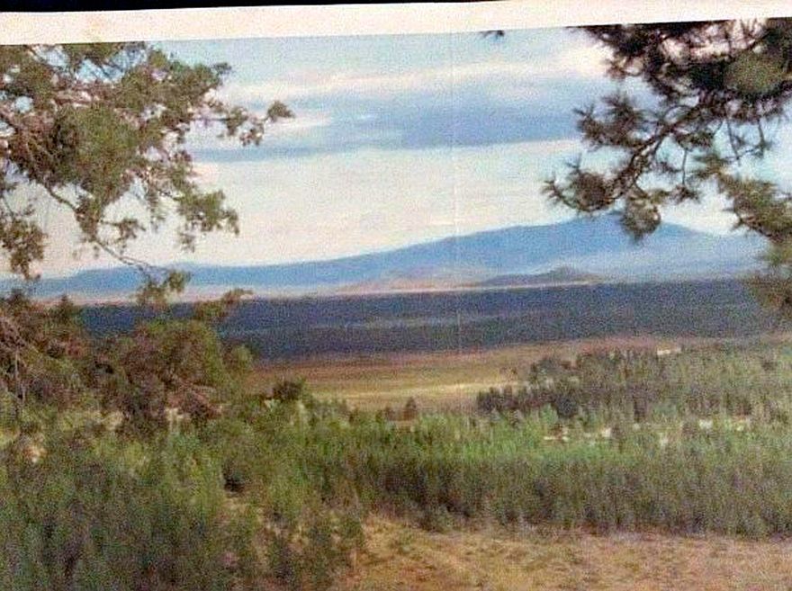 Wow! This is what everyone is looking for in our current market!  Remote & off-the grid!  Perfect place for your recreational hide-out!  Just a stone's throw from National Forest on the north!  This lot even comes with it's own small canyon!  Lots of wildlife and you'll never see the starts shine brighter that you will here!  Roads are rough.  All or 4-wheel drive is a must!