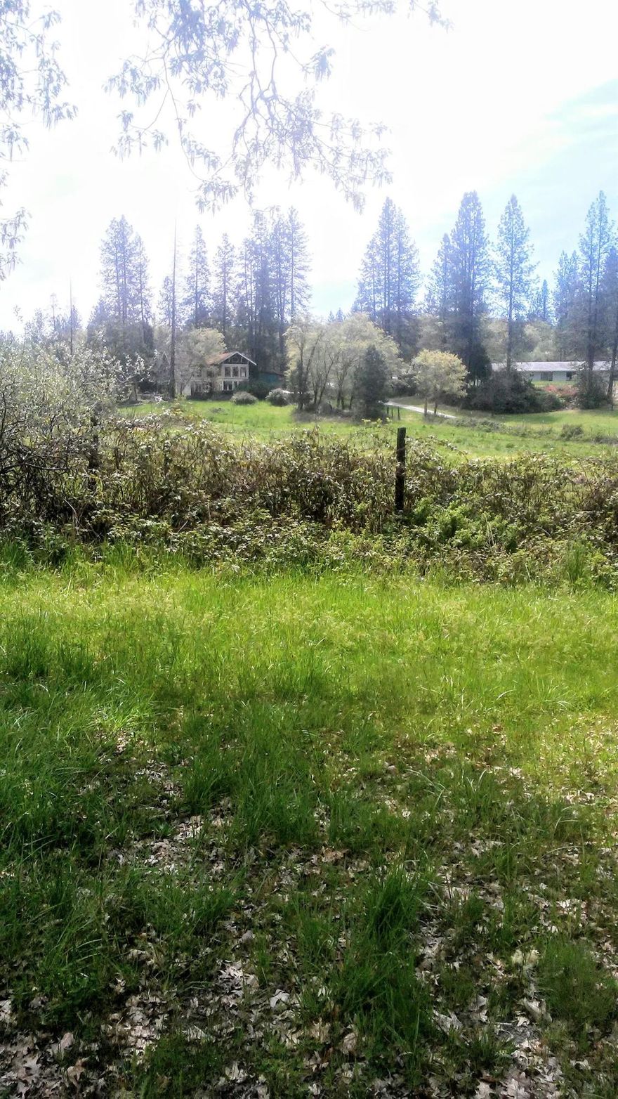 Vineyard/resort potential! This 515 acre parcel is at the end of a county paved road, ready for your imagination. Many ponds, some large ones too. Lots of old buildings and stuff, including an old mansion with restoration potential. Terrain is mostly rolling with some great view sites. BLM frontage on part of the South side. Can you imagine a horse facility with arenas, trails through the woods and around the ponds, even stables, and RV facilities? See if Planning will allow this or your own dream. Riced below assessor's value! Adjacent 186 acre parcel zoned CR5 also available