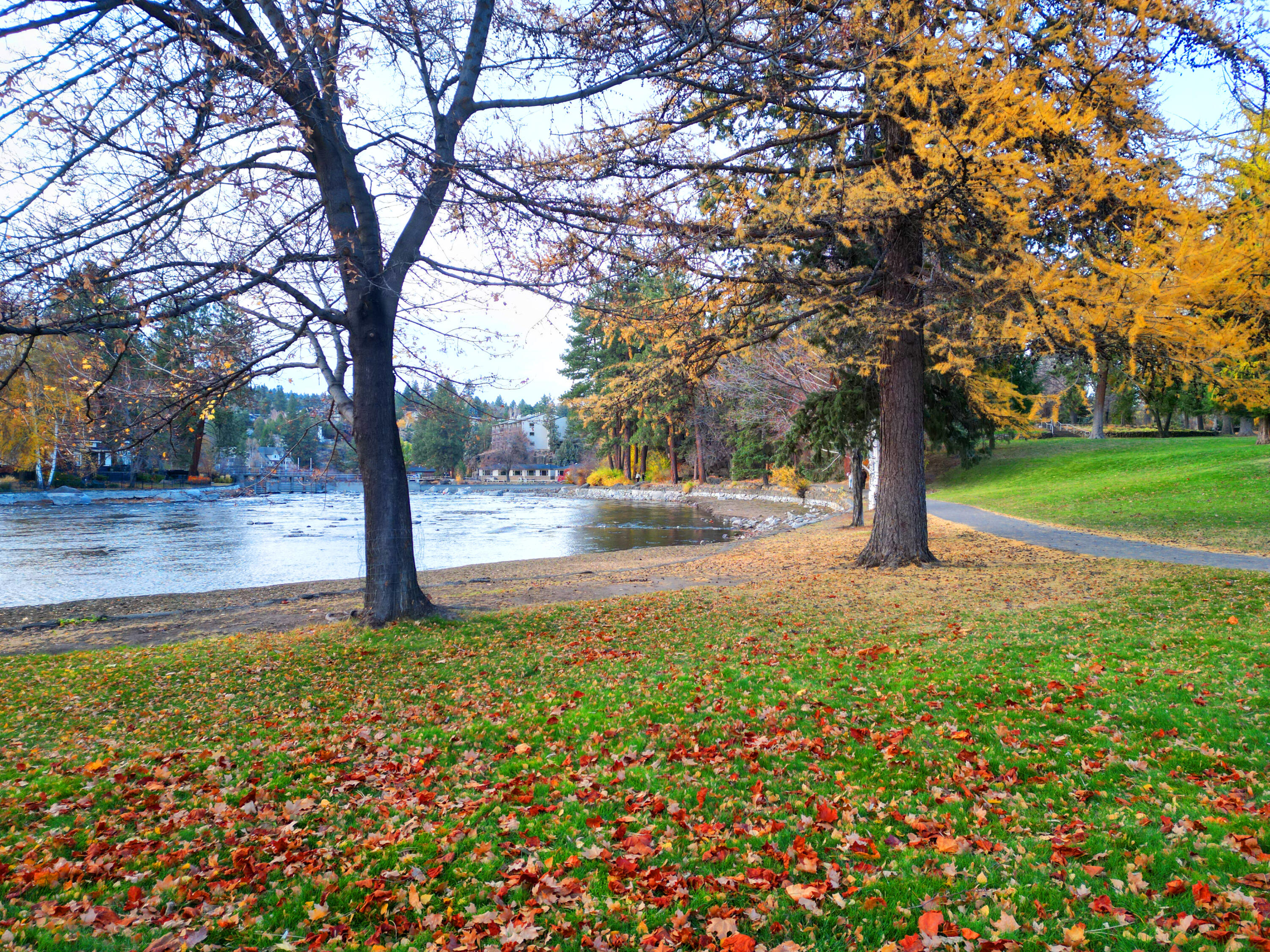 Bend View - Residential