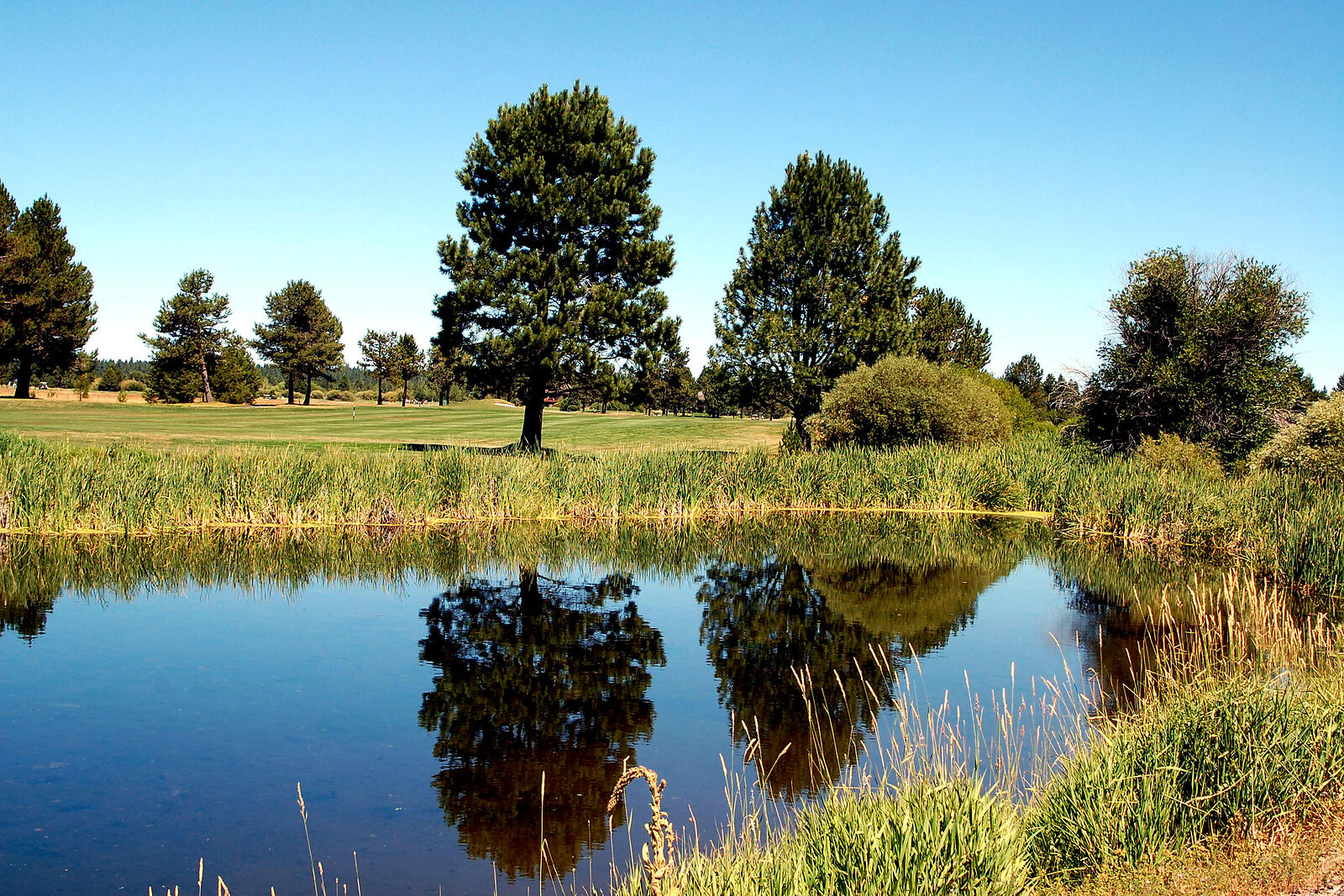 Abbot House Condo - Residential