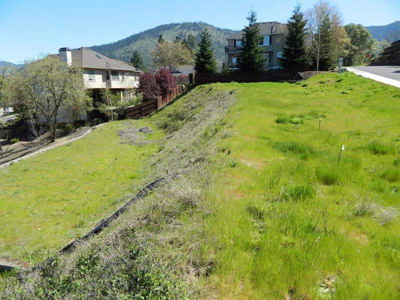 Meadow Wood - Land