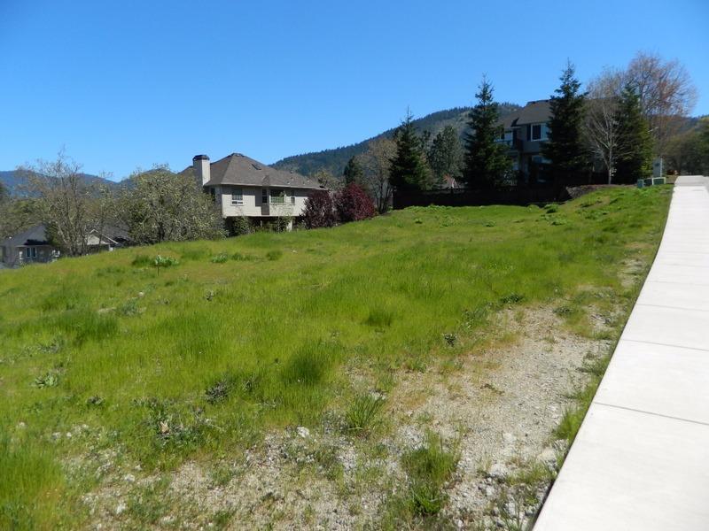 Meadow Wood - Land