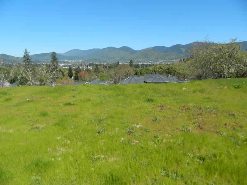 Meadow Wood - Land