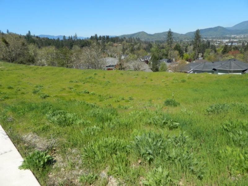 Meadow Wood - Land