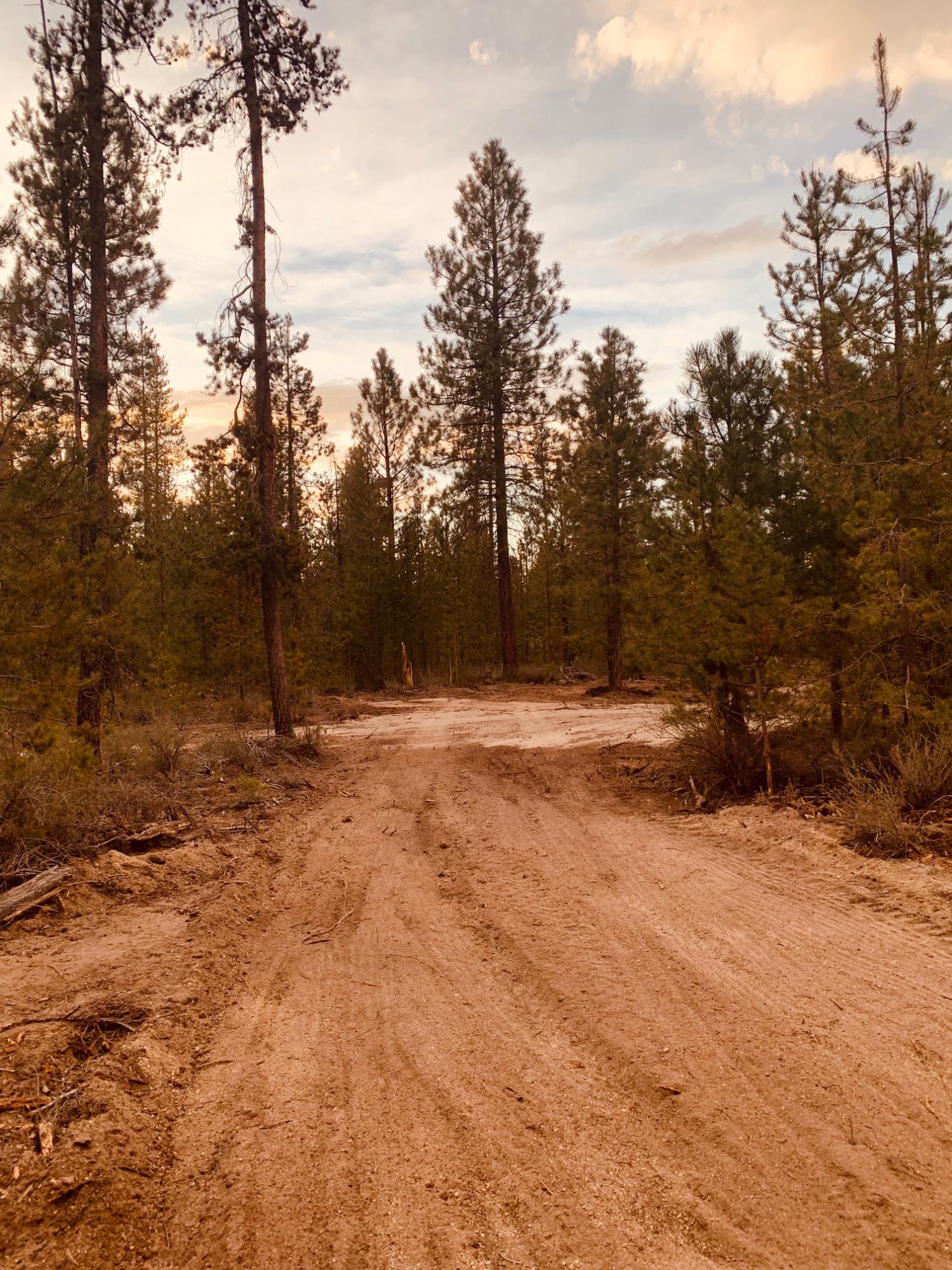 Roberts' River Acres - Land
