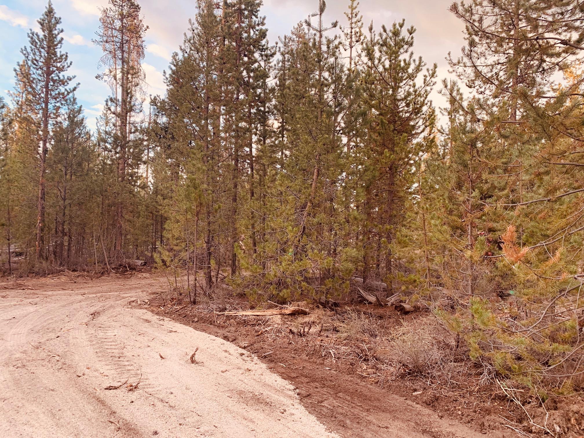 Roberts' River Acres - Land