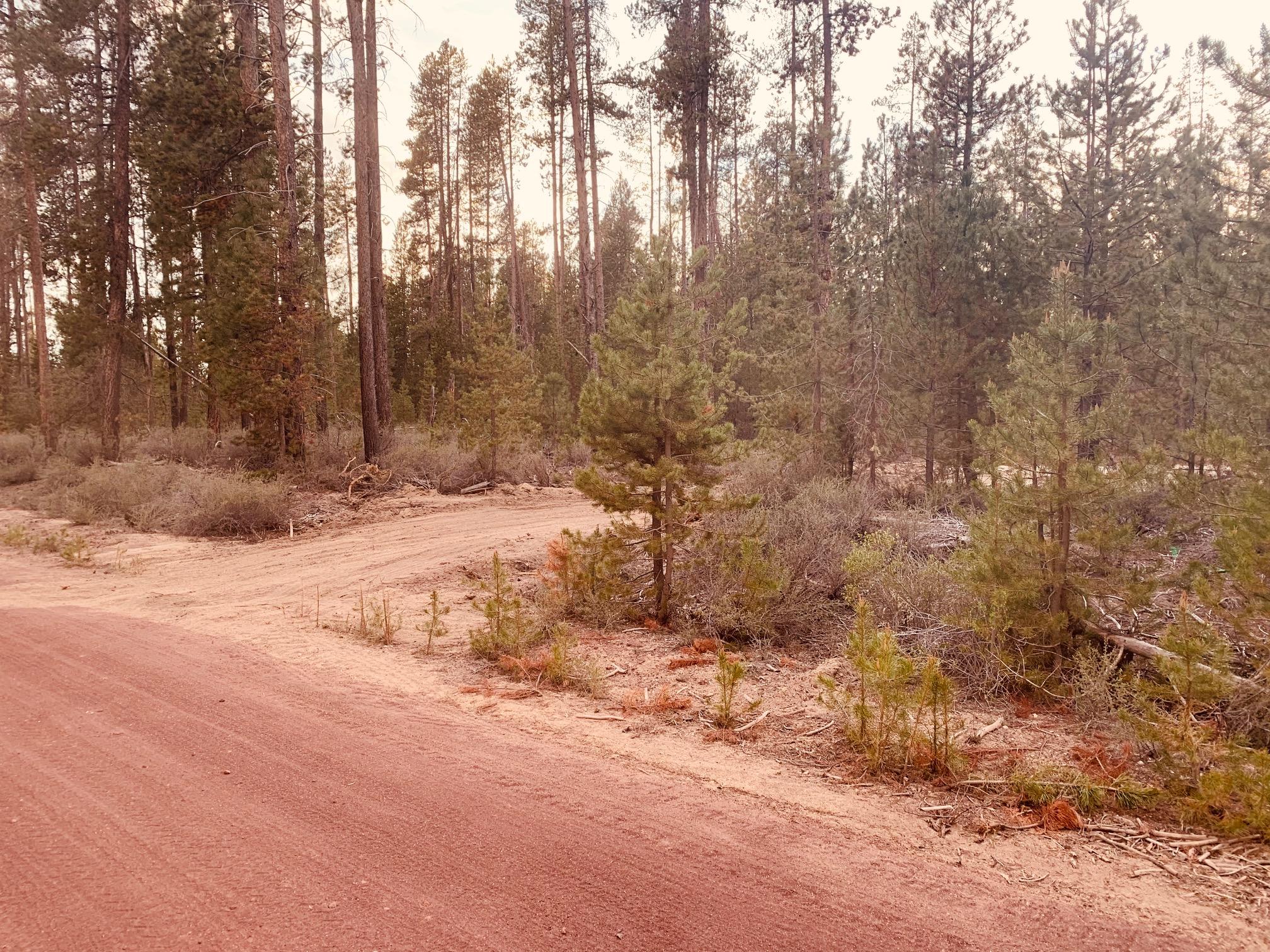 Roberts' River Acres - Land
