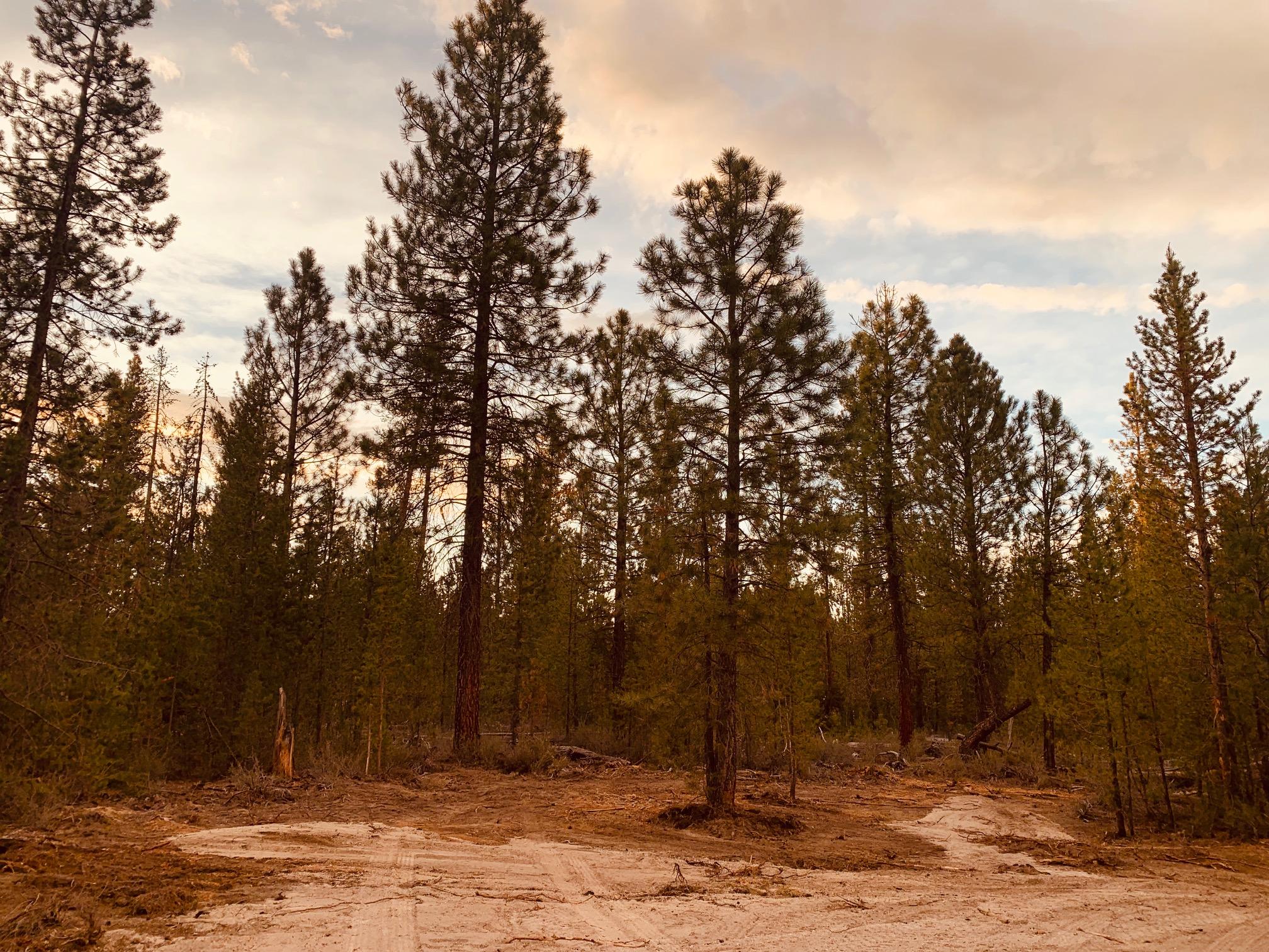 Roberts' River Acres - Land